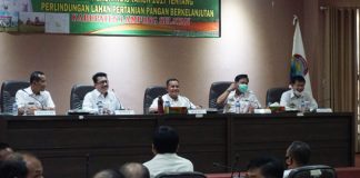 HUT Kemerdekaan RI, Pemkab Lampung Selatan Akan Adakan Lomba Mural Kebun Edukasi