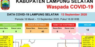Jubir Covid-19 : Ada Penambahan 7 Kasus Baru Konfirmasi Positif Di Lampung Selatan