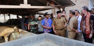 KPT Maju Sejahtera Binaan Dinas Peternakan dan Keswan Kabupaten Lampung Selatan Raih Penghargaan Nasional dari Bank Indonesia