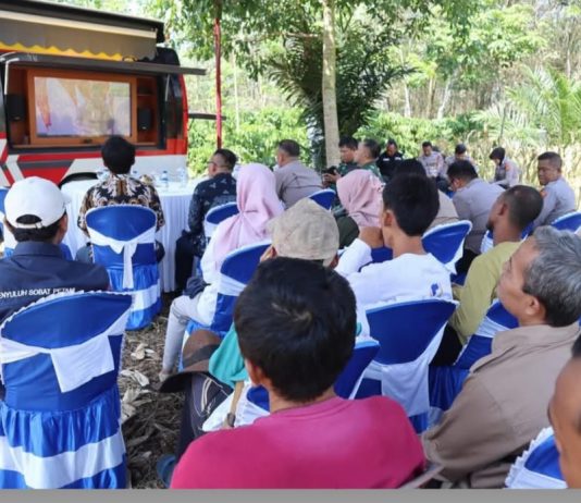 Dukung Ketahanan Pangan, Kapolres Way Kanan dan Polsek Jajaran Panen Jagung Serentak Kuartal 2
