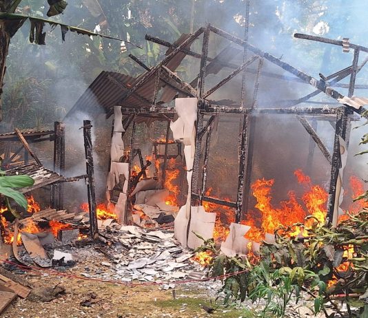 Si Jago Merah Lalap Rumah Milik Warga Desa Pardasuka